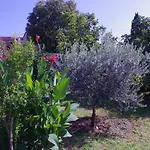 House In Village *