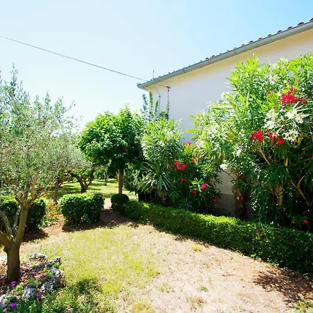 House In Village *