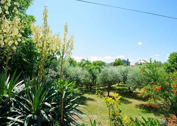 펜션 House In Village